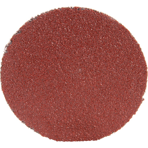 Roloc Disc 361F, 1-1/2" Dia., P100 Grit, Aluminum Oxide Advanced Consulting and Training Ltd.