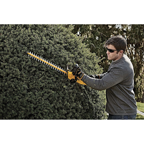 Taille-haie sans fil Max, 22", 20 V, &agrave; pile Advanced Consulting and Training Ltd.