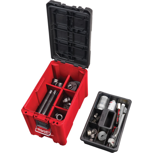 Packout Compact Tool Box, 10" x 16-1/5" x 13", Black/Red Advanced Consulting and Training Ltd.