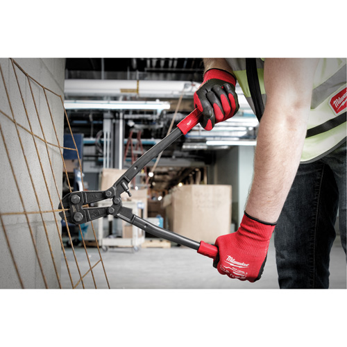 Bolt Cutter, 18" L, Center Cut Advanced Consulting and Training Ltd.
