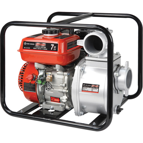 Pompe &agrave; eau &agrave; essence, 196 cc, LCT &agrave; 4 temps, 7,0 CV Advanced Consulting and Training Ltd.