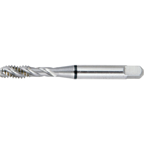 DRILLCO Spiral Flute Super High Performance BT Tap, High Speed Steel, 12-24 Thread Advanced Consulting and Training Ltd.