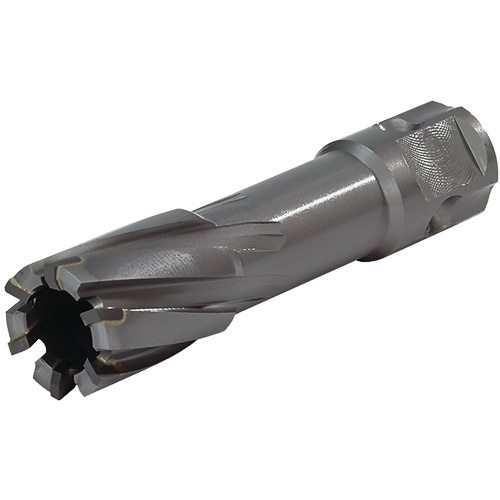 Couteau annulaire &agrave; tige universelle, Diam&egrave;tre de 1/2", Carbure, Profondeur de la coupe de 1", Tige 3/4" Advanced Consulting and Training Ltd.