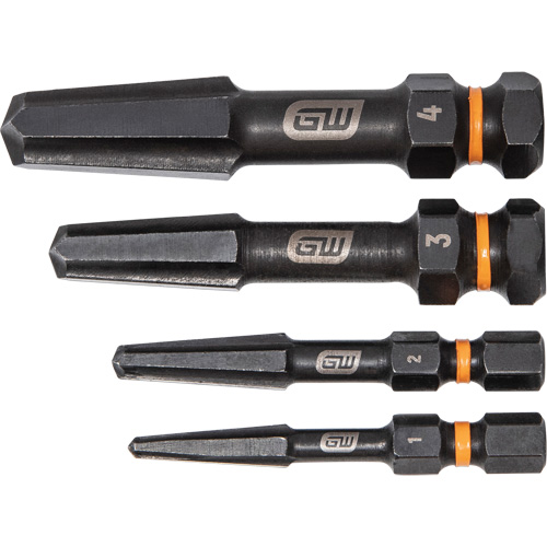 Jeu d'extracteur de vis Bolt Biter, Acier rapide, 4 Morceaux Advanced Consulting and Training Ltd.