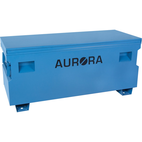 Coffre &agrave; outils de chantier, 60" x 24" x 27-1/2", Acier, Bleu Advanced Consulting and Training Ltd.