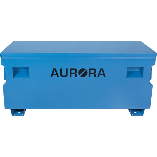 Coffre &agrave; outils de chantier, 60" x 24" x 27-1/2", Acier, Bleu Advanced Consulting and Training Ltd.