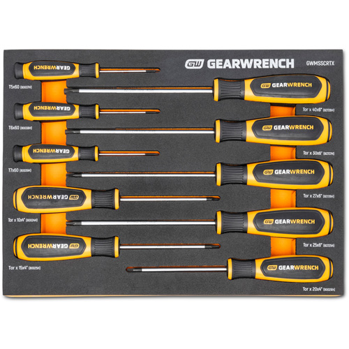 Torx&reg; Dual Material Screwdriver Set in Foam Storage Tray, 10 Pcs. Advanced Consulting and Training Ltd.