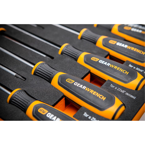 Torx&reg; Dual Material Screwdriver Set in Foam Storage Tray, 10 Pcs. Advanced Consulting and Training Ltd.