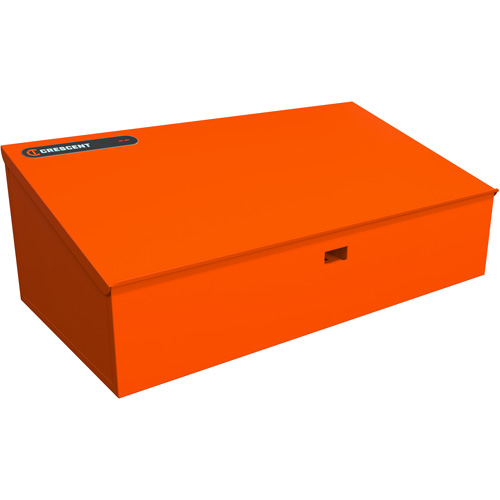 RAILWORKS Top Shelf Lockable Angled Workstation Advanced Consulting and Training Ltd.