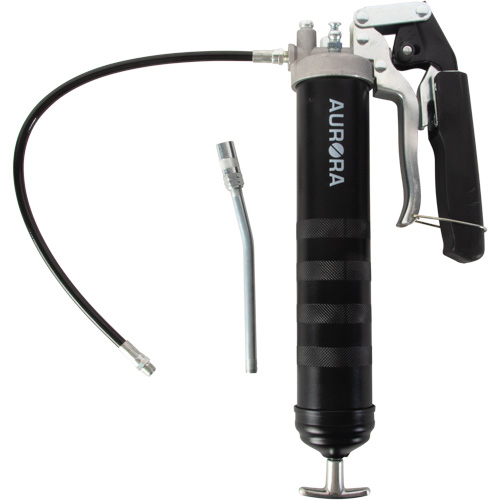 Pistolet-graisseur double &agrave; poign&eacute;e-levier Advanced Consulting and Training Ltd.
