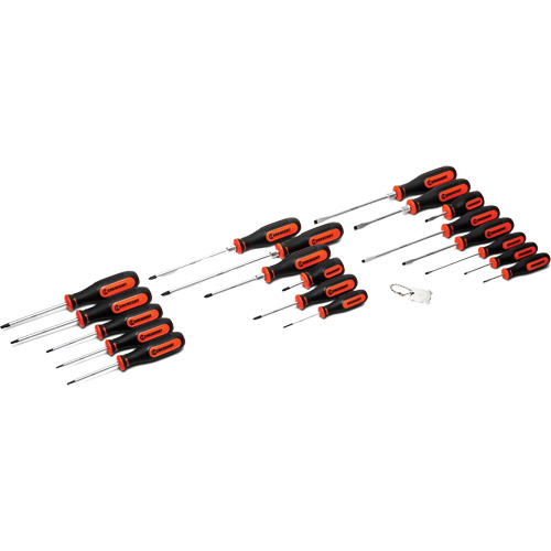 Dual Material Screwdriver Set, 20 Pcs. Advanced Consulting and Training Ltd.