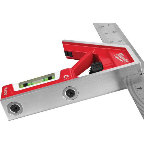 &eacute;querre magn&eacute;tique combin&eacute;, 12" lo, Acier inoxydable, Ordinaire Advanced Consulting and Training Ltd.