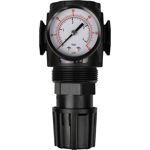 MODULAIR 300 Compressed Air Regulator, 1/2" NPT, 300 psi Max. PSI, In Line/Modular Advanced Consulting and Training Ltd.