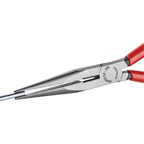 Pince &agrave; bec long avec coupe-fil, 8" lo Advanced Consulting and Training Ltd.