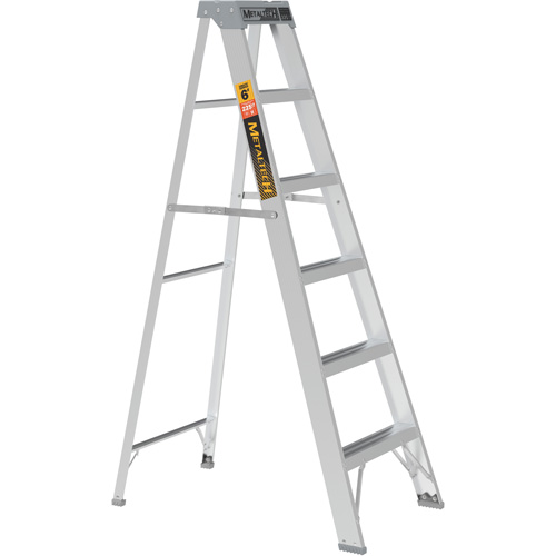 Step Ladder, 6', Aluminum, 225 lbs. Capacity, Type 2 Advanced Consulting and Training Ltd.