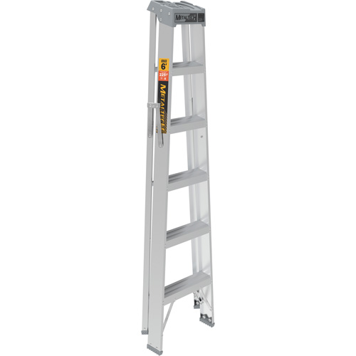 Step Ladder, 6', Aluminum, 225 lbs. Capacity, Type 2 Advanced Consulting and Training Ltd.