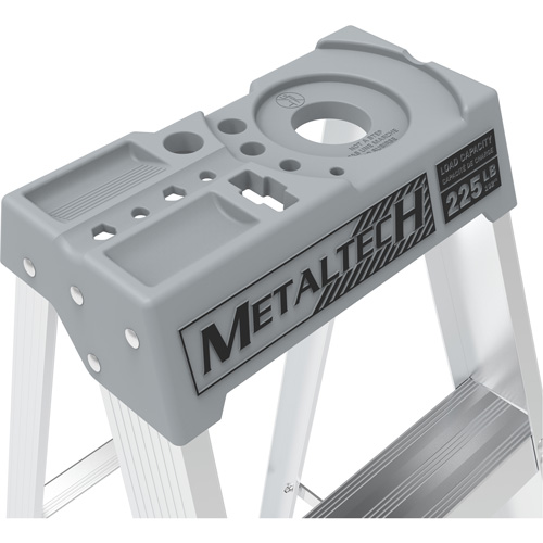 Step Ladder with Paint Tray, 6', Aluminum, 225 lbs. Capacity, Type 2 Advanced Consulting and Training Ltd.