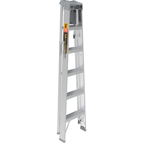 Step Ladder with Paint Tray, 6', Aluminum, 225 lbs. Capacity, Type 2 Advanced Consulting and Training Ltd.