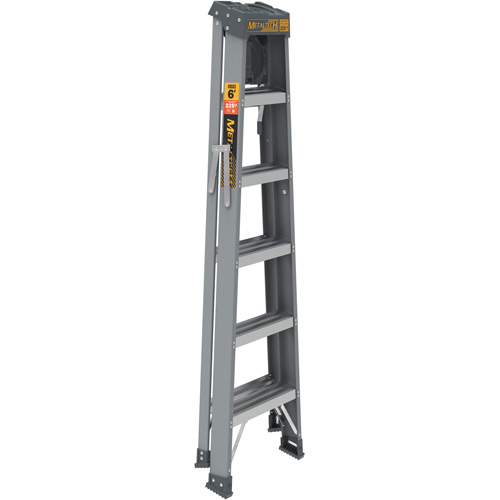Step Ladder with Paint Tray, 6', Fibreglass, 225 lbs. Capacity, Type 2 Advanced Consulting and Training Ltd.