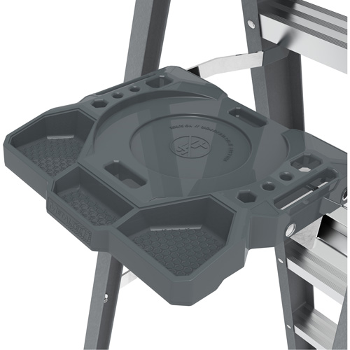 Step Ladder with Paint Tray, 6', Fibreglass, 225 lbs. Capacity, Type 2 Advanced Consulting and Training Ltd.