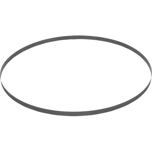 Lame de scie &agrave; ruban , Bim&eacute;tal, 44-7/8" lo x 1/2" la x &eacute;paisseur 0,020", 14 dents par pouce Advanced Consulting and Training Ltd.