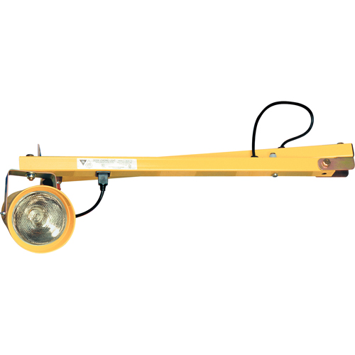 Lampes pour les quais, Bras 40", Ampoule Incandescente, Polycarbonate Advanced Consulting and Training Ltd.