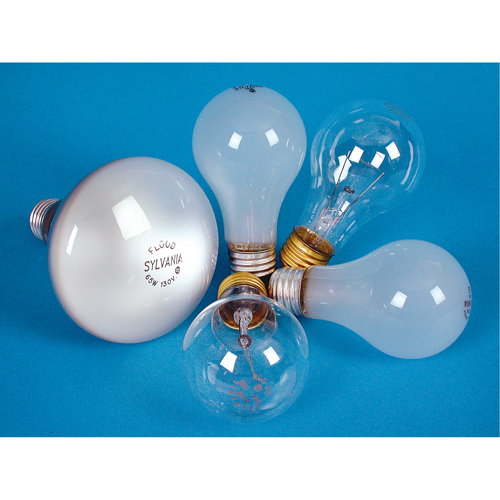 Incandescent Lamps - Long Life Advanced Consulting and Training Ltd.