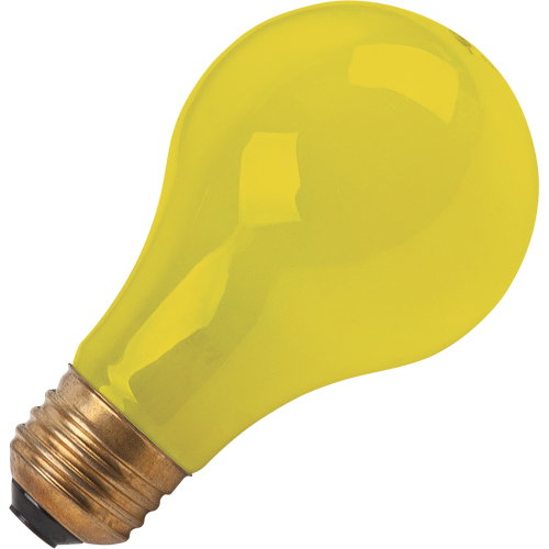 Incandescent Lamps - Bug-Lite Advanced Consulting and Training Ltd.