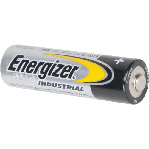Alkaline Industrial Batteries, AA, 1.5 V Advanced Consulting and Training Ltd.