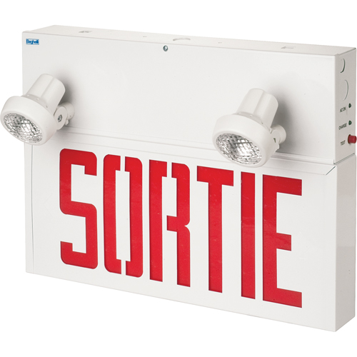 Enseignes/lampes combin&eacute;es Stella - Sortie, DEL, &agrave; raccordement fixe, 17-1/2" lo x 12-1/2" la, Français Advanced Consulting and Training Ltd.