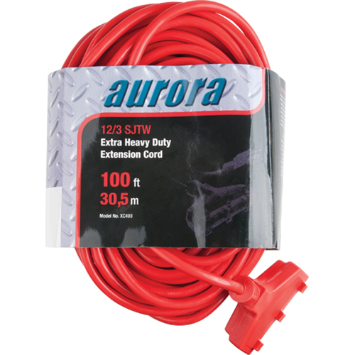 Vinyl Extension Cord, Outdoor, SJTW, 12/3 AWG, 15 A, 3 Outlet(s), 100' Advanced Consulting and Training Ltd.