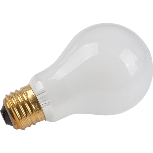 Economy Line Incandescent Lamps Advanced Consulting and Training Ltd.