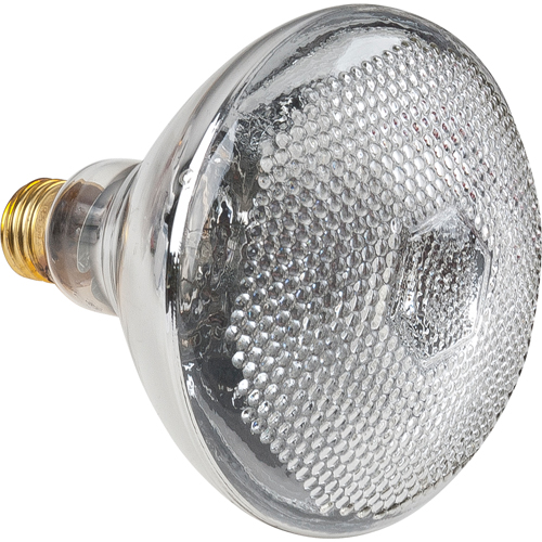 Economy Line Incandescent Lamps Advanced Consulting and Training Ltd.