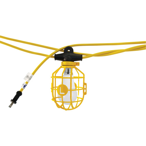 LED Bulb Stringlights with Connector, 10 Lights, 1200" L, Plastic Housing Advanced Consulting and Training Ltd.