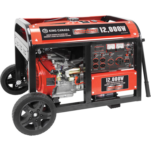 Electric Start Gas Generator with Wheel Kit, 12000 W Surge, 9000 W Rated, 120 V/240 V, 31 L Tank Advanced Consulting and Training Ltd.