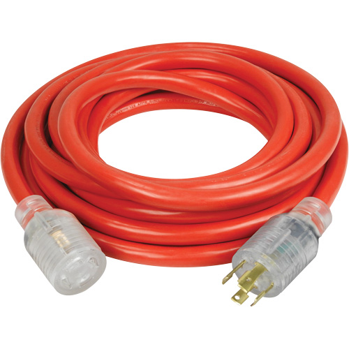 Rallonge pour g&eacute;n&eacute;ratrice &agrave; quatre prises, Ext&eacute;rieur, AWG 10, 30 A, 4 prise(s), 25' Advanced Consulting and Training Ltd.