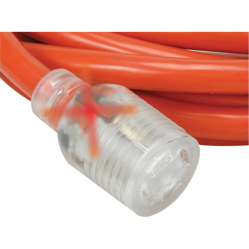 Rallonge pour g&eacute;n&eacute;ratrice &agrave; quatre prises, Ext&eacute;rieur, AWG 10, 30 A, 4 prise(s), 25' Advanced Consulting and Training Ltd.