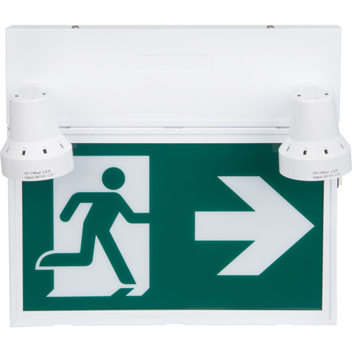 Enseigne d'homme qui court avec &eacute;clairage de s&eacute;curit&eacute;, DEL, &agrave; piles/&agrave; raccordement fixe, 12-1/10" lo x 11" la, Pictogramme Advanced Consulting and Training Ltd.