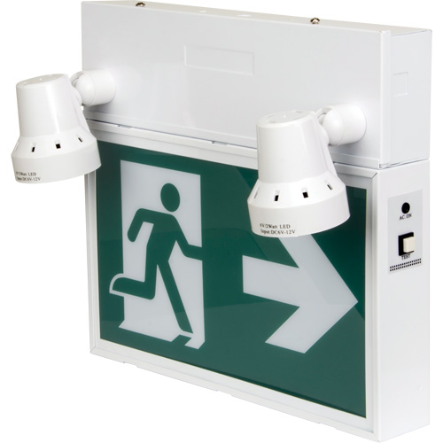Enseigne d'homme qui court avec &eacute;clairage de s&eacute;curit&eacute;, DEL, &agrave; piles/&agrave; raccordement fixe, 12-1/10" lo x 11" la, Pictogramme Advanced Consulting and Training Ltd.