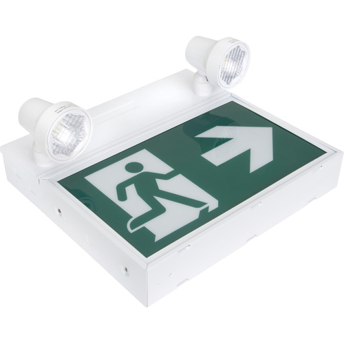 Enseigne d'homme qui court avec &eacute;clairage de s&eacute;curit&eacute;, DEL, &agrave; piles/&agrave; raccordement fixe, 12-1/10" lo x 11" la, Pictogramme Advanced Consulting and Training Ltd.