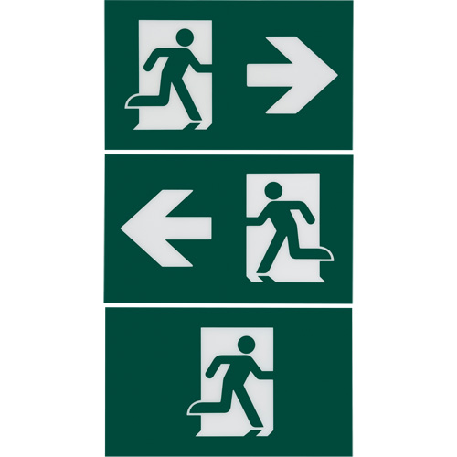Enseigne d'homme qui court avec &eacute;clairage de s&eacute;curit&eacute;, DEL, &agrave; piles/&agrave; raccordement fixe, 12-1/10" lo x 11" la, Pictogramme Advanced Consulting and Training Ltd.