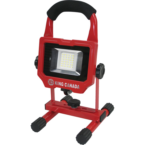 Baladeuse, DEL, 15 W, 1500 lumens, Boîtier en Aluminium Advanced Consulting and Training Ltd.