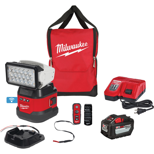 Ensemble d'&eacute;clairage orientable polyvalent &agrave; t&eacute;l&eacute;commande, DEL, 4250 lumens Advanced Consulting and Training Ltd.