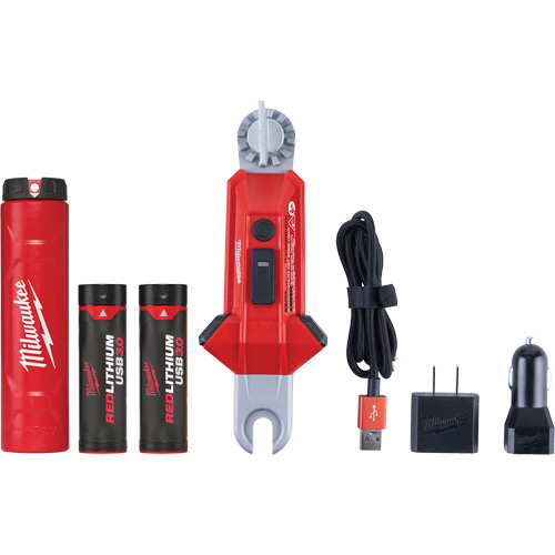 Lampe USB polyvalente REDLITHIUM pour perche isolante, DEL, Piles Rechargeable, Aluminium Advanced Consulting and Training Ltd.