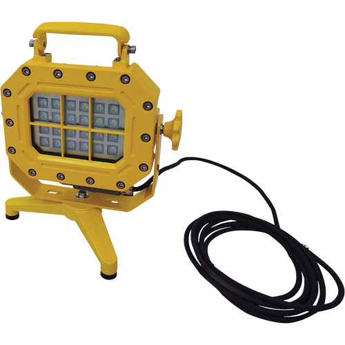 Explosion Proof Floodlight with Stand, LED, 40 W, 5600 Lumens, Aluminum Housing Advanced Consulting and Training Ltd.