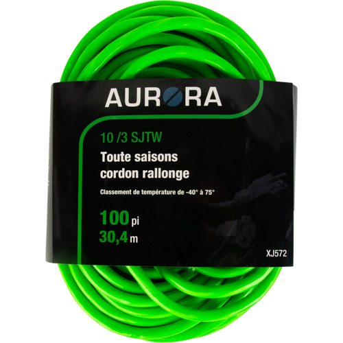 Cordon rallonge de calibre industriel, Toutes saisons, SJTW, AWG 10/3, 15 A, 100' Advanced Consulting and Training Ltd.