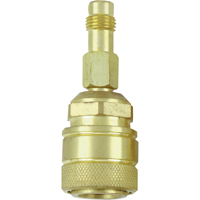 Adaptateur de chalumeau &agrave; raccord vissable pour buse &agrave; raccord rapide Advanced Consulting and Training Ltd.