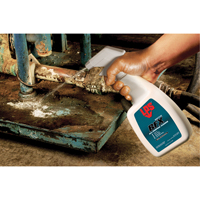 BFX All-Purpose Cleaner, Drum Advanced Consulting and Training Ltd.