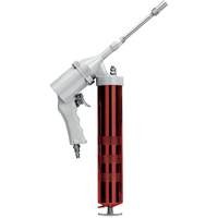 Pistolets graisseurs pneumatiques Advanced Consulting and Training Ltd.