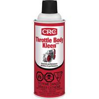Nettoyant de conduits d'admission d'air Throttle Body Kleen, Canette a&eacute;rosol Advanced Consulting and Training Ltd.